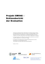 2011-07 Projekt SWiNG Schlussbericht.pdf