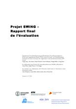 2011-07_Projet_SWiNG_rapport_final_4.pdf