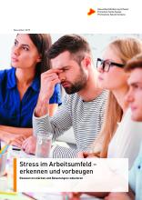 Stress im Arbeitsumfeld – erkennen und vorbeugen